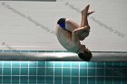Swimming & Diving vs RWU  Swimming & Diving vs Roger Williams University. - Photo by Keith Nordstrom : Wheaton, Swimming
